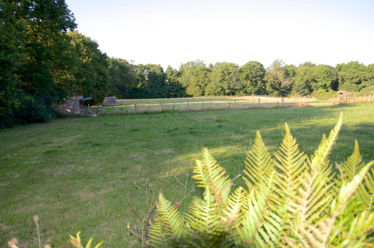 Gite Le Champ Libre Dompierre-Sur-Yon Exteriér fotografie