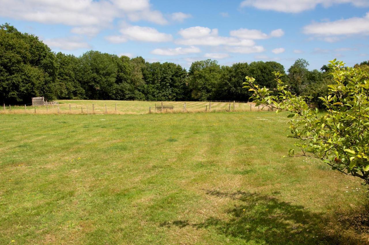 Gite Le Champ Libre Dompierre-Sur-Yon Exteriér fotografie